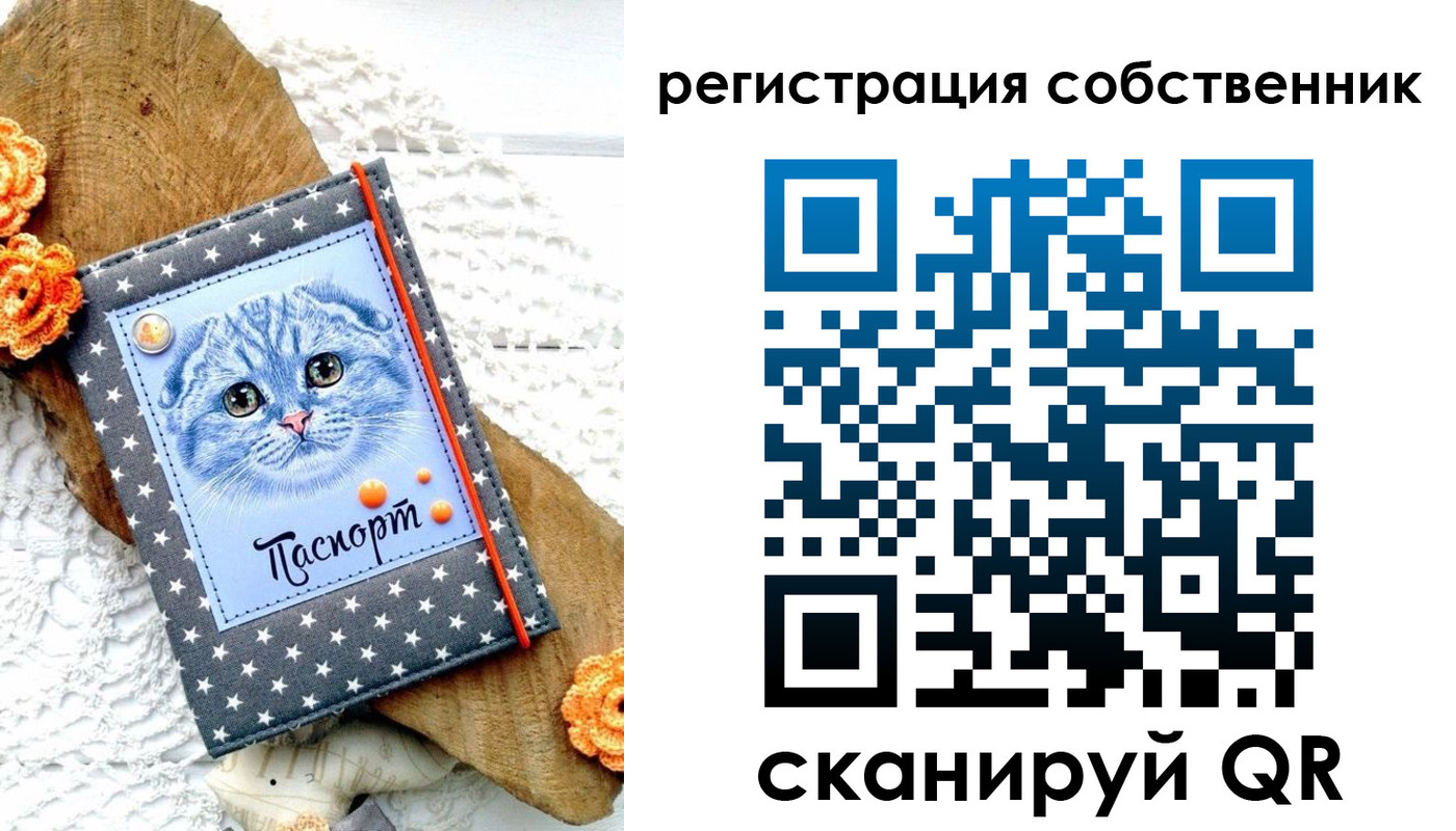 прописка для работы в Полярных Зорях